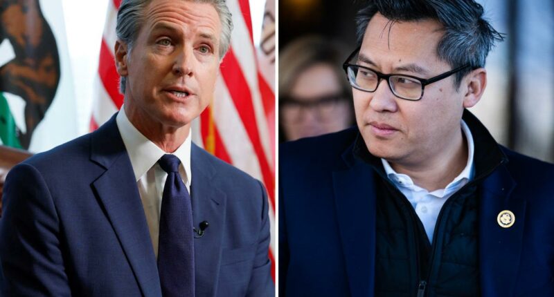 Gavin Newsomâs unemployment debt ripped by California congressman